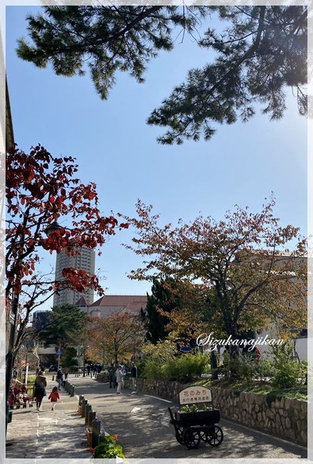 色づき始めた街_a0341548_23285619.jpg