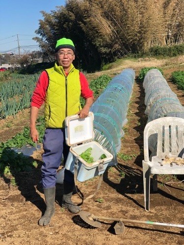 今朝は松政さんと飯田の2名　細かい野菜の手入れ中心の作業でした_c0222448_11273986.jpg