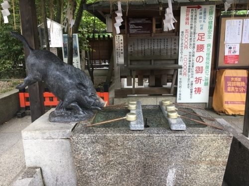 京都の旅\'19Ⅳ 京都青楓その3_e0326953_00210120.jpg