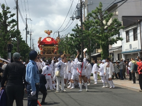 京都の旅\'19Ⅳ 京都青楓その3_e0326953_20053999.jpg