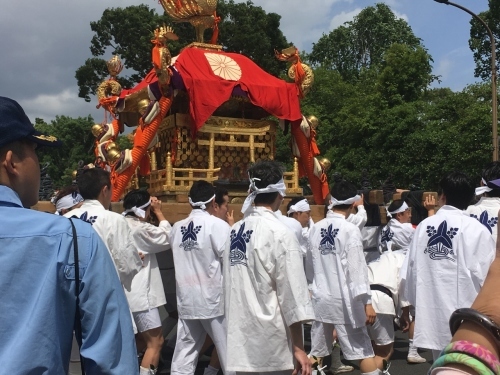 京都の旅\'19Ⅳ 京都青楓その3_e0326953_20155759.jpg