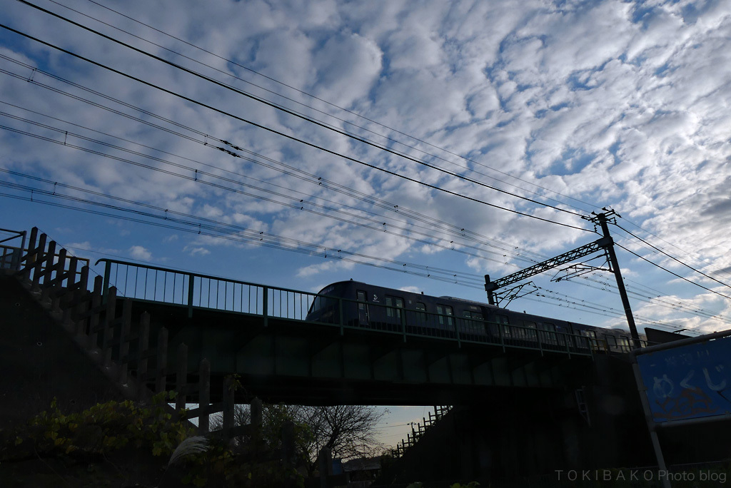 d0100156_16201268.jpg