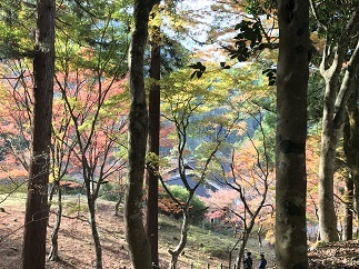 紅葉巡り_f0373560_20491230.jpg