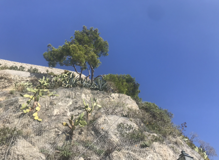 モンテロッソの5分さんぽ♪_a0136671_00305108.jpeg