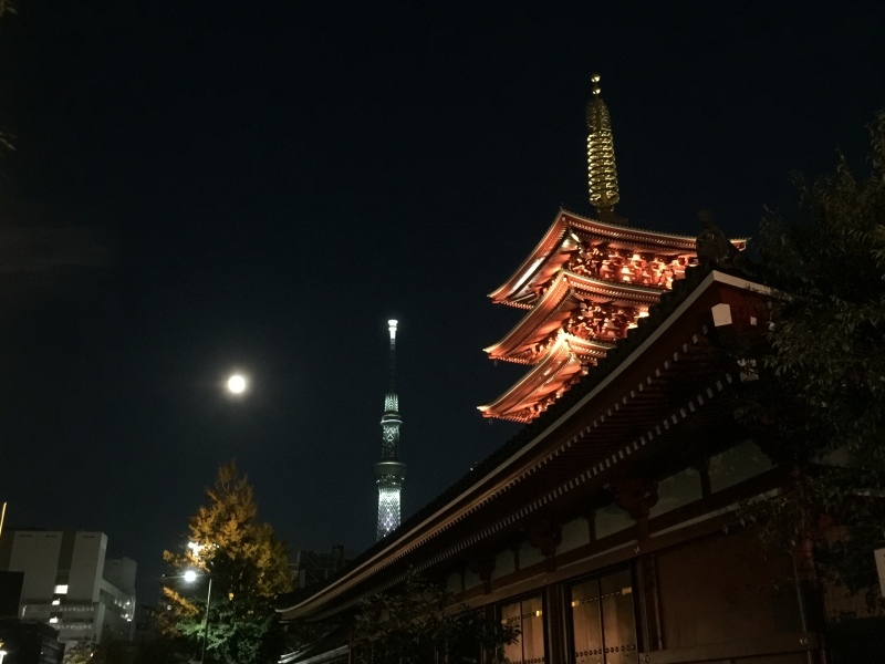 a0391771_19402067.jpeg