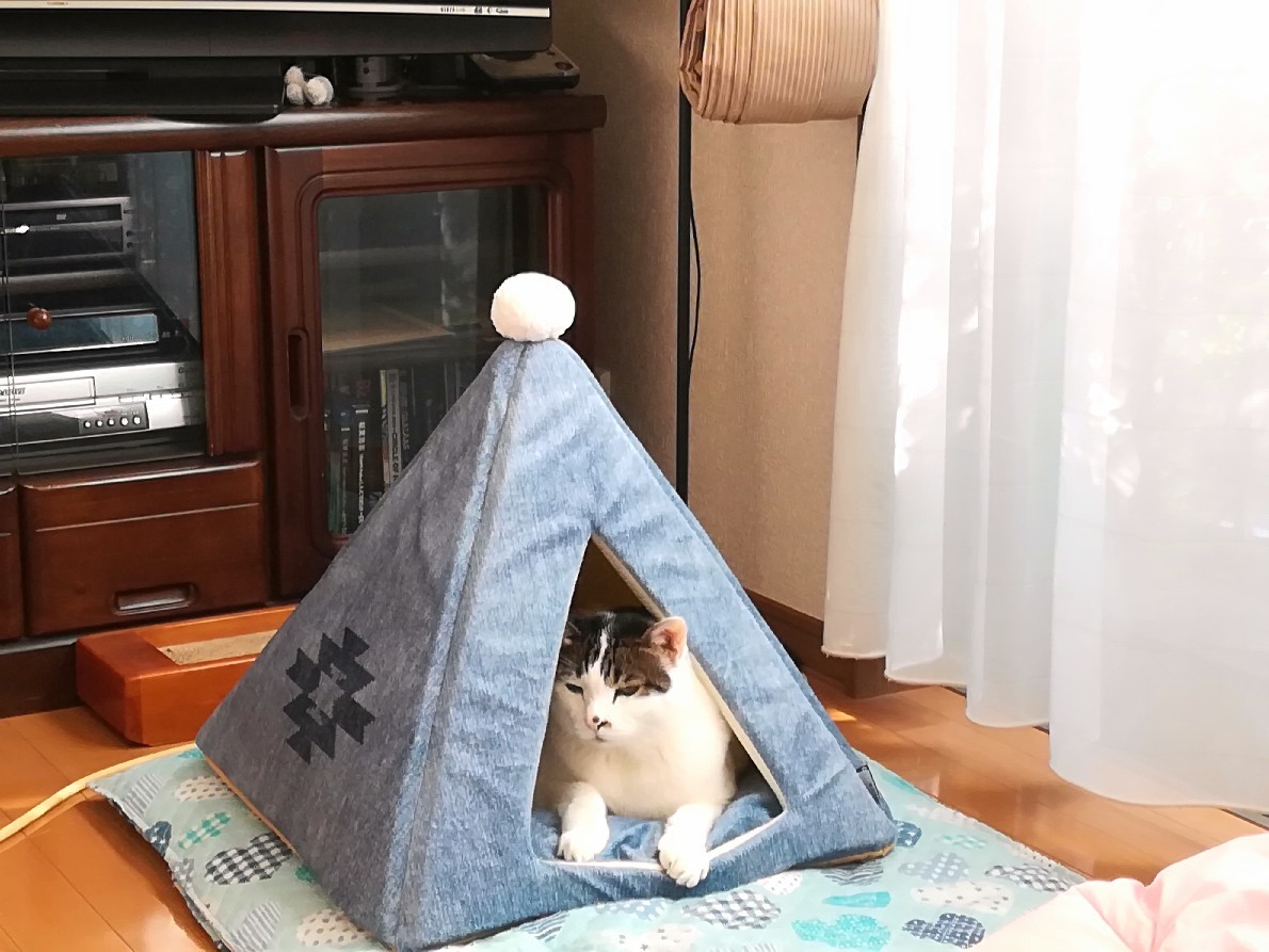 11月のスグミル_e0171874_20450535.jpg