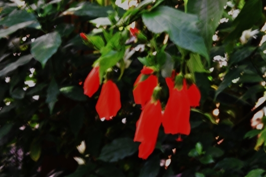 b0329186_08105137.jpg