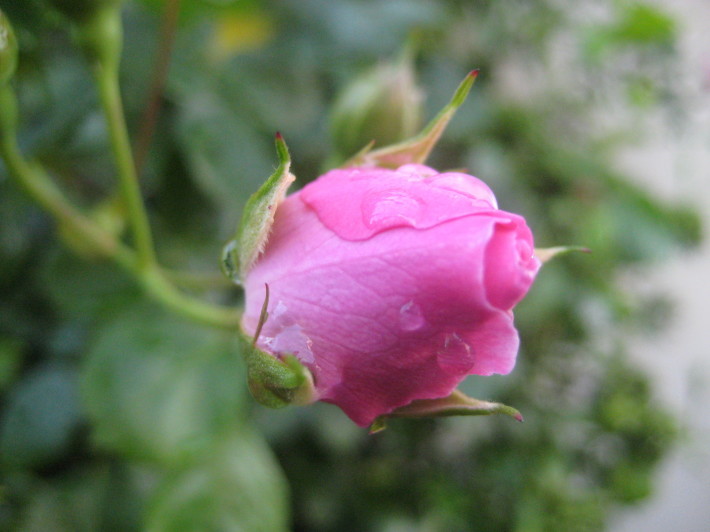 f0201297_09151928.jpg