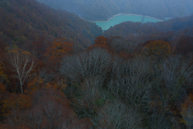 田代高原⑦ 苗場ドラゴンドラ帰路 _a0357206_21154324.jpg