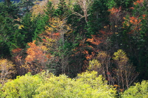 a0263109_20223411.jpg