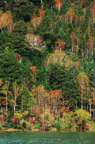 a0263109_20223423.jpg