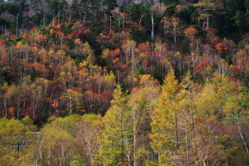 a0263109_20223556.jpg