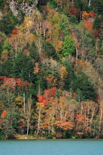 a0263109_20223558.jpg