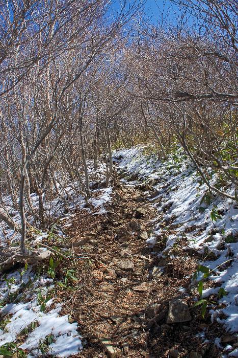 白砂山、遠く　　八間山 ・ 堂岩山_b0244811_00081535.jpg