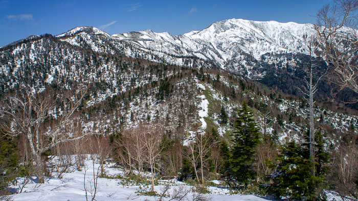 白砂山、遠く　　八間山 ・ 堂岩山_b0244811_00113997.jpg