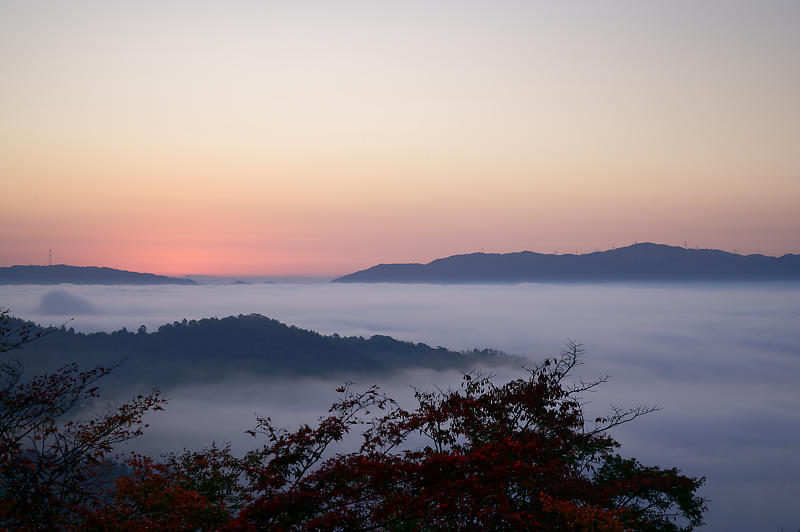 雲海 亀岡 千手寺 デジタルな鍛冶屋の写真歩記 雲海 亀岡 千手寺 デジタルな鍛冶屋の写真歩記