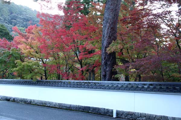紅葉が始まった 永観堂_e0048413_21190295.jpg
