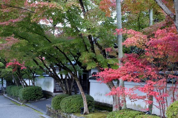 紅葉が始まった 永観堂_e0048413_21192431.jpg