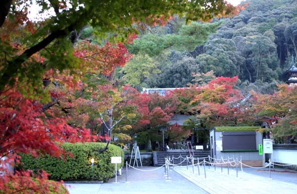 紅葉が始まった 永観堂_e0048413_21193042.jpg