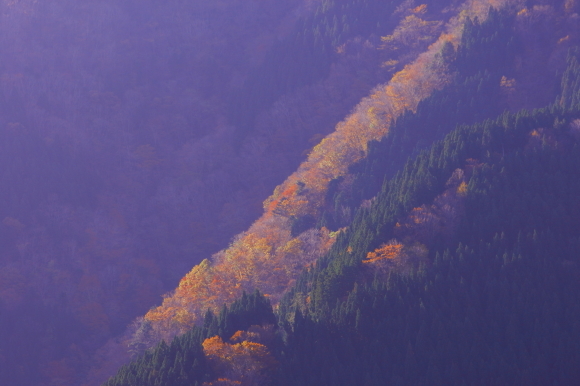 ナメコ谷（吉野郡上北山村）_e0103921_18302659.jpg