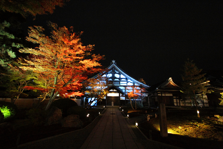 東山紅葉ライトアップ －高台寺（後編）－ _b0169330_22434075.jpg