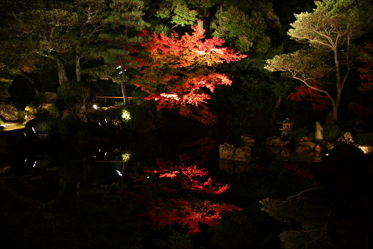 東山紅葉ライトアップ －知恩院（後編）－_b0169330_836797.jpg