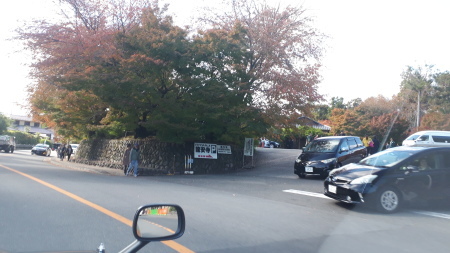 京都紅葉速報2019 吉田　堀川銀杏　龍安寺_d0106134_13103835.jpg