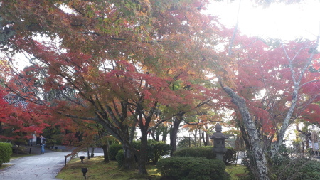 京都紅葉速報2019 将軍塚青蓮院青龍殿_d0106134_16404284.jpg