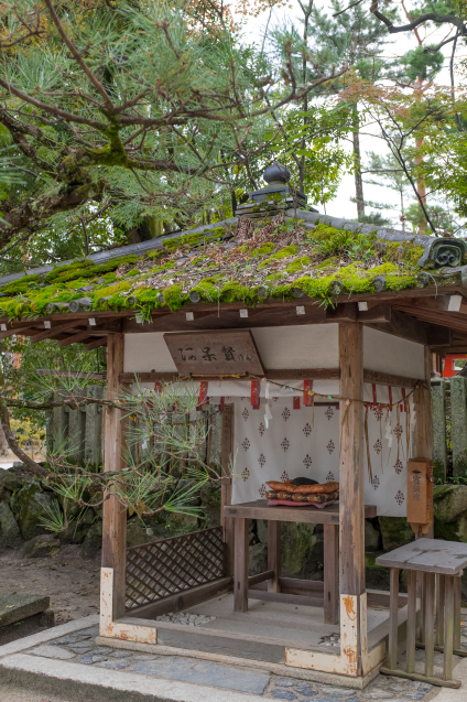 キラク写真教室撮影会① 今宮神社とあぶり餅_e0369736_09462143.jpg