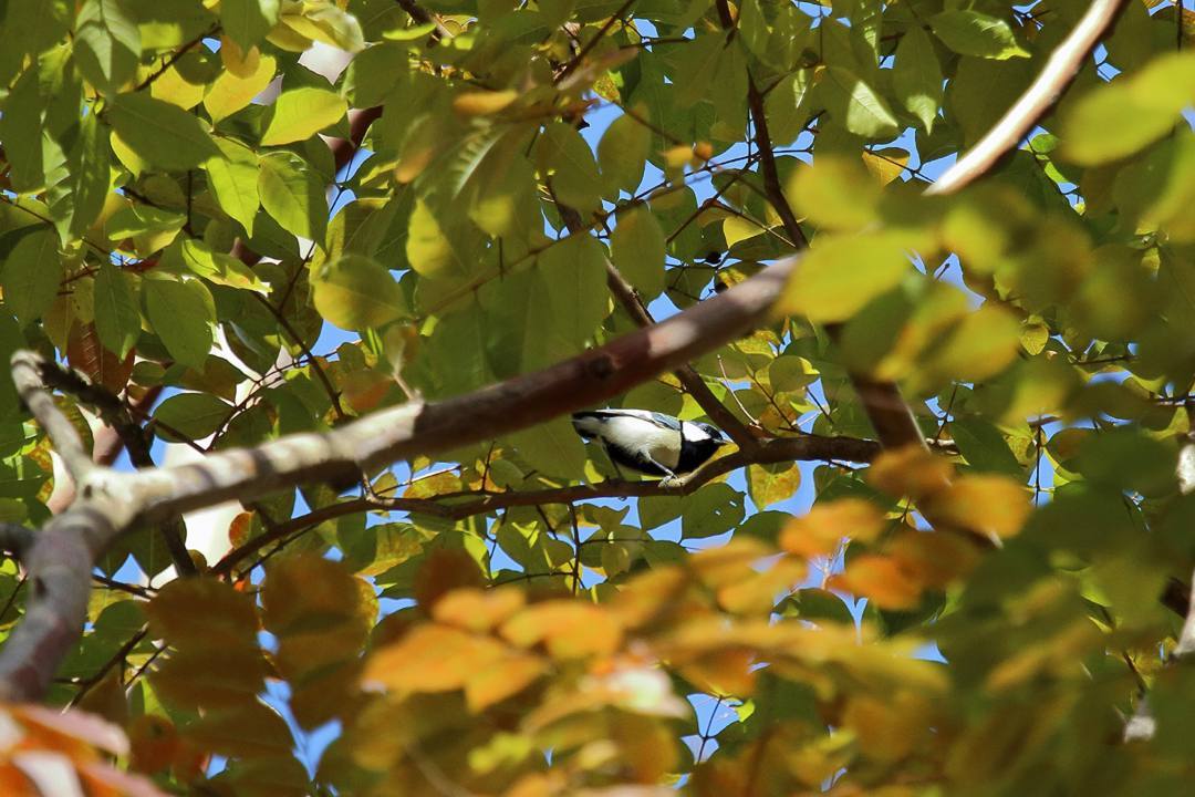 e0403850_10181651.jpg
