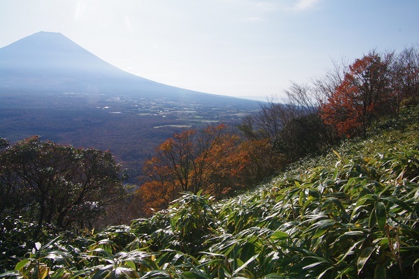 竜ケ岳(山梨県)_d0164761_08204983.jpg