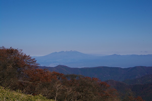 竜ケ岳(山梨県)_d0164761_08205681.jpg