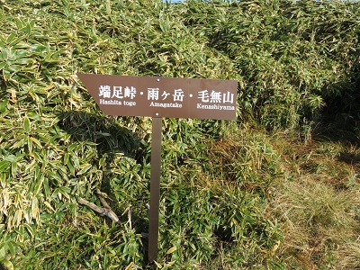 竜ケ岳(山梨県)_d0164761_09021323.jpg