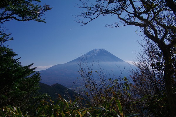 竜ケ岳(山梨県)_d0164761_09021869.jpg