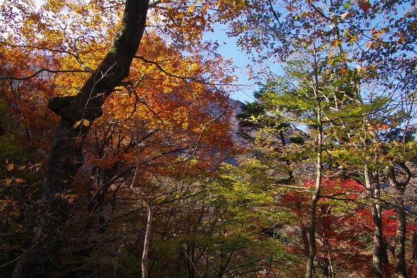 竜ケ岳(山梨県)_d0164761_09022914.jpg
