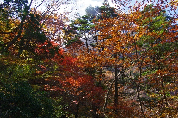 竜ケ岳(山梨県)_d0164761_09023780.jpg