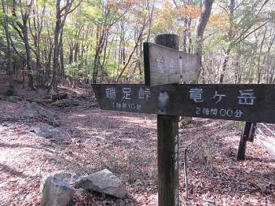 竜ケ岳(山梨県)_d0164761_09025008.jpg