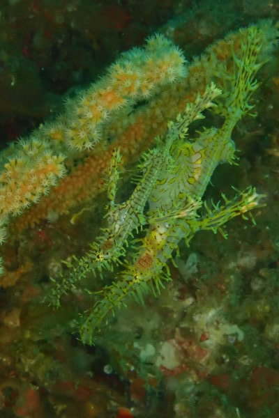f0164662_01062548.jpg
