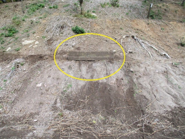 c0080863_17174211.jpg