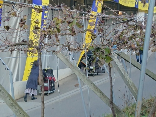 今年も行ってきました!第36回収穫祭♪_c0100865_12142450.jpg
