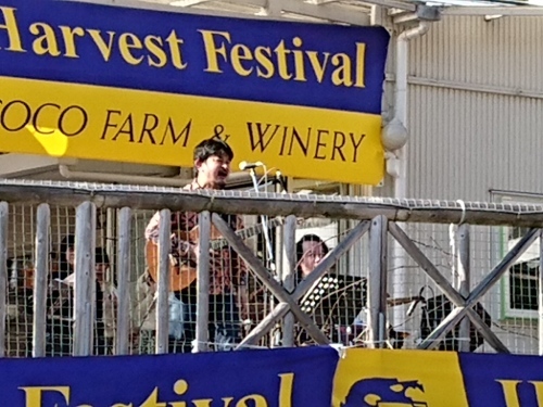 今年も行ってきました!第36回収穫祭♪_c0100865_12332947.jpg