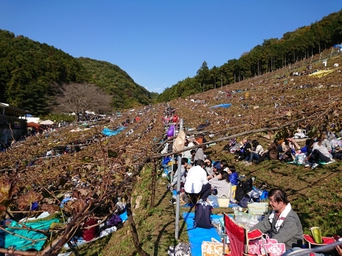 今年も行ってきました!第36回収穫祭♪_c0100865_12334610.jpg