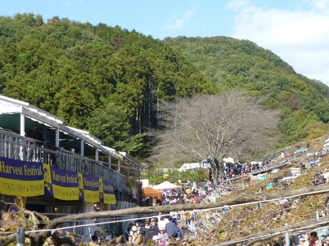 今年も行ってきました!第36回収穫祭♪_c0100865_12381336.jpg