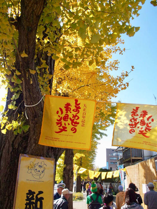 イチョウ祭りに行ってきた①_c0122670_18205360.jpg