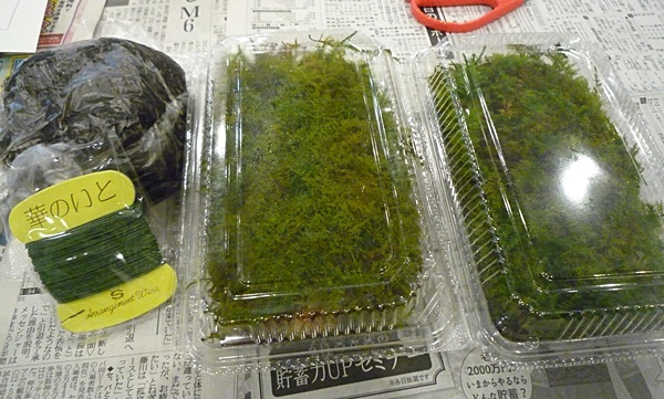 e0177271_12152782.jpg