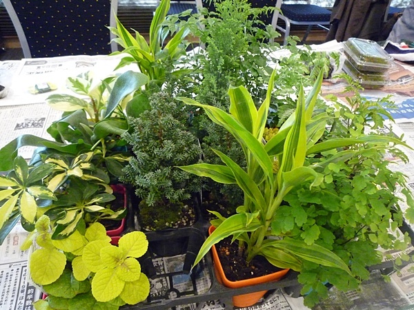 e0177271_12153829.jpg