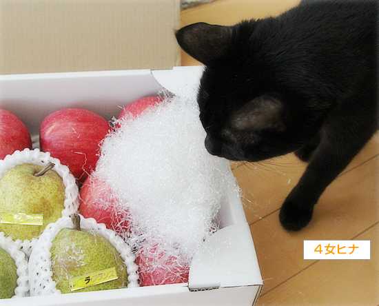 山形からの贈り物_a0389088_14445904.jpg