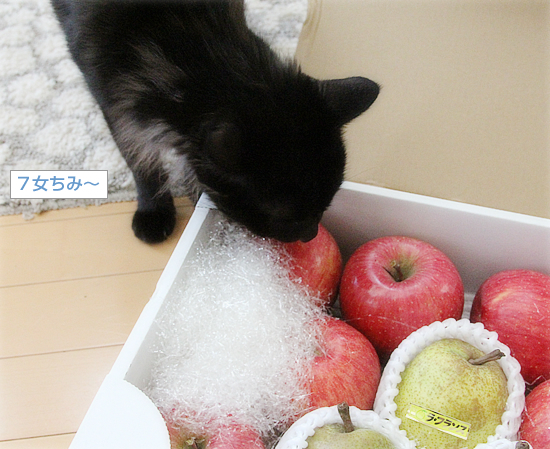 山形からの贈り物_a0389088_14445977.jpg