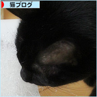 山形からの贈り物_a0389088_14450071.jpg