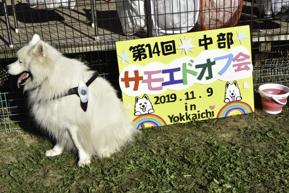 第14回中部オフの報告_b0120492_21441946.jpg